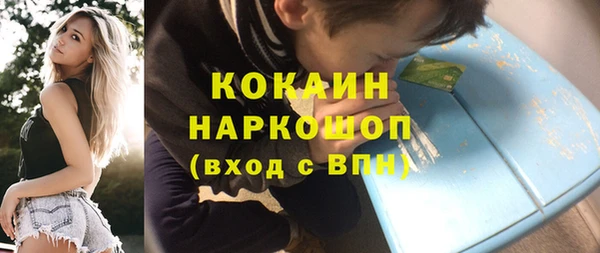 соль ск Каменногорск