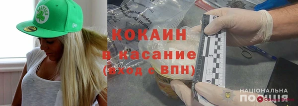 соль ск Каменногорск