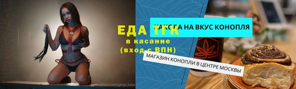 индика Инта