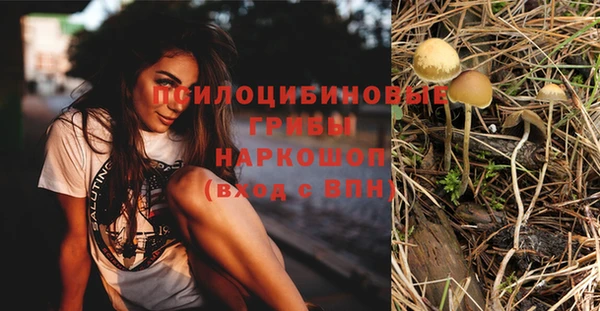 экстази Каменка